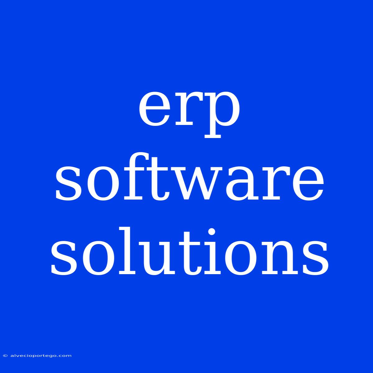 Erp Software Solutions