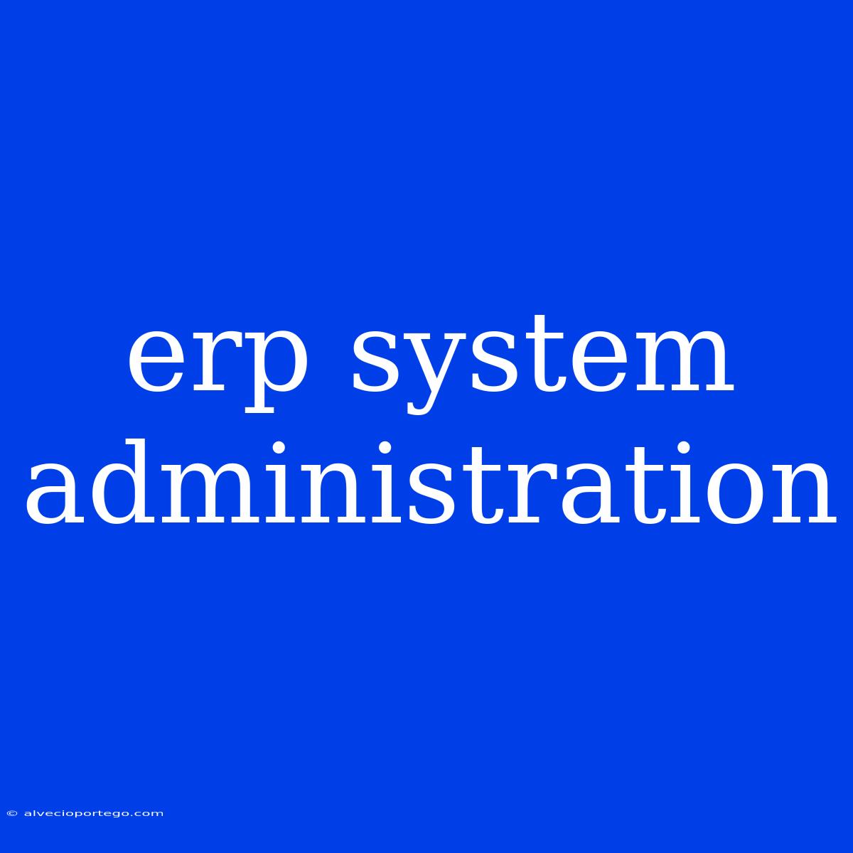 Erp System Administration