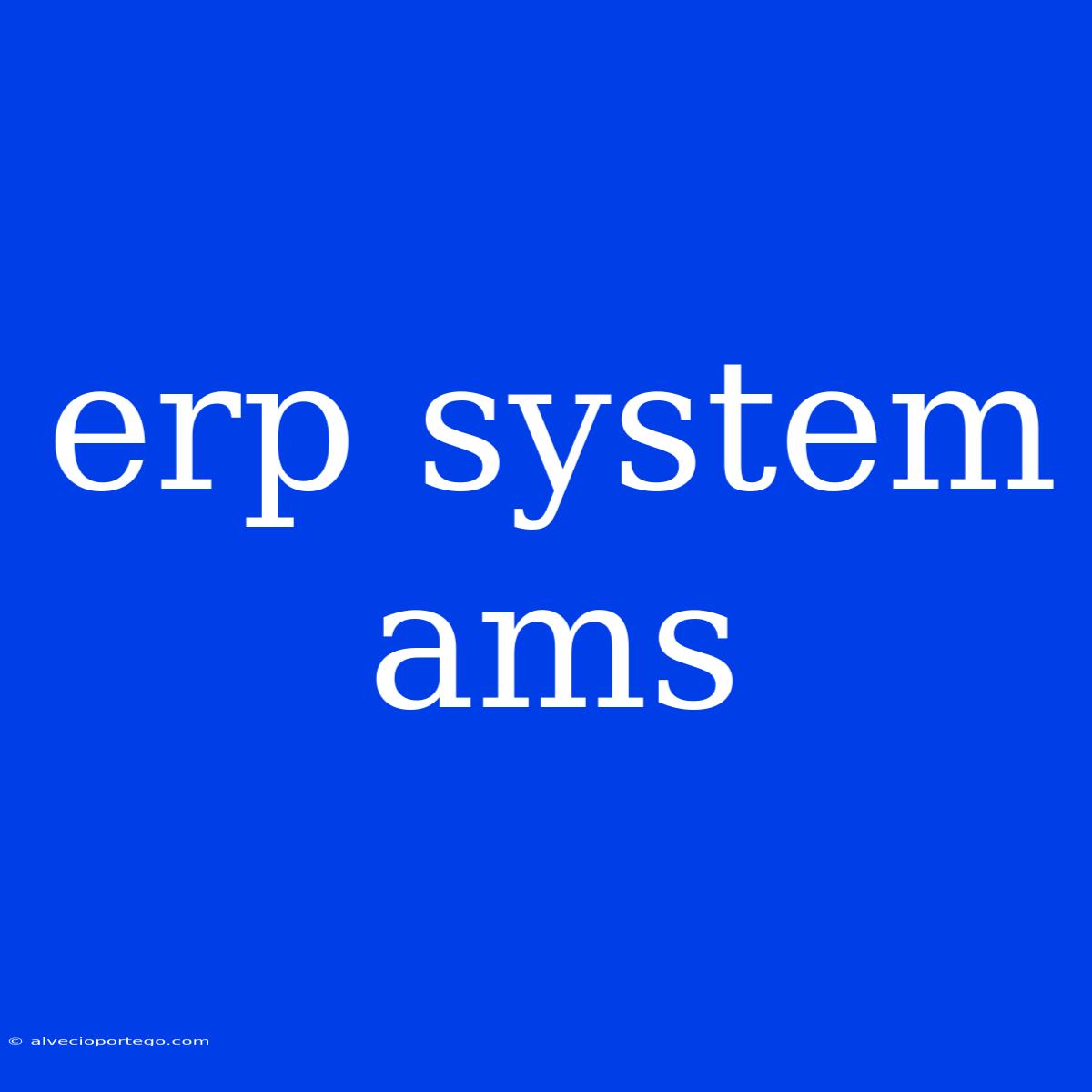 Erp System Ams