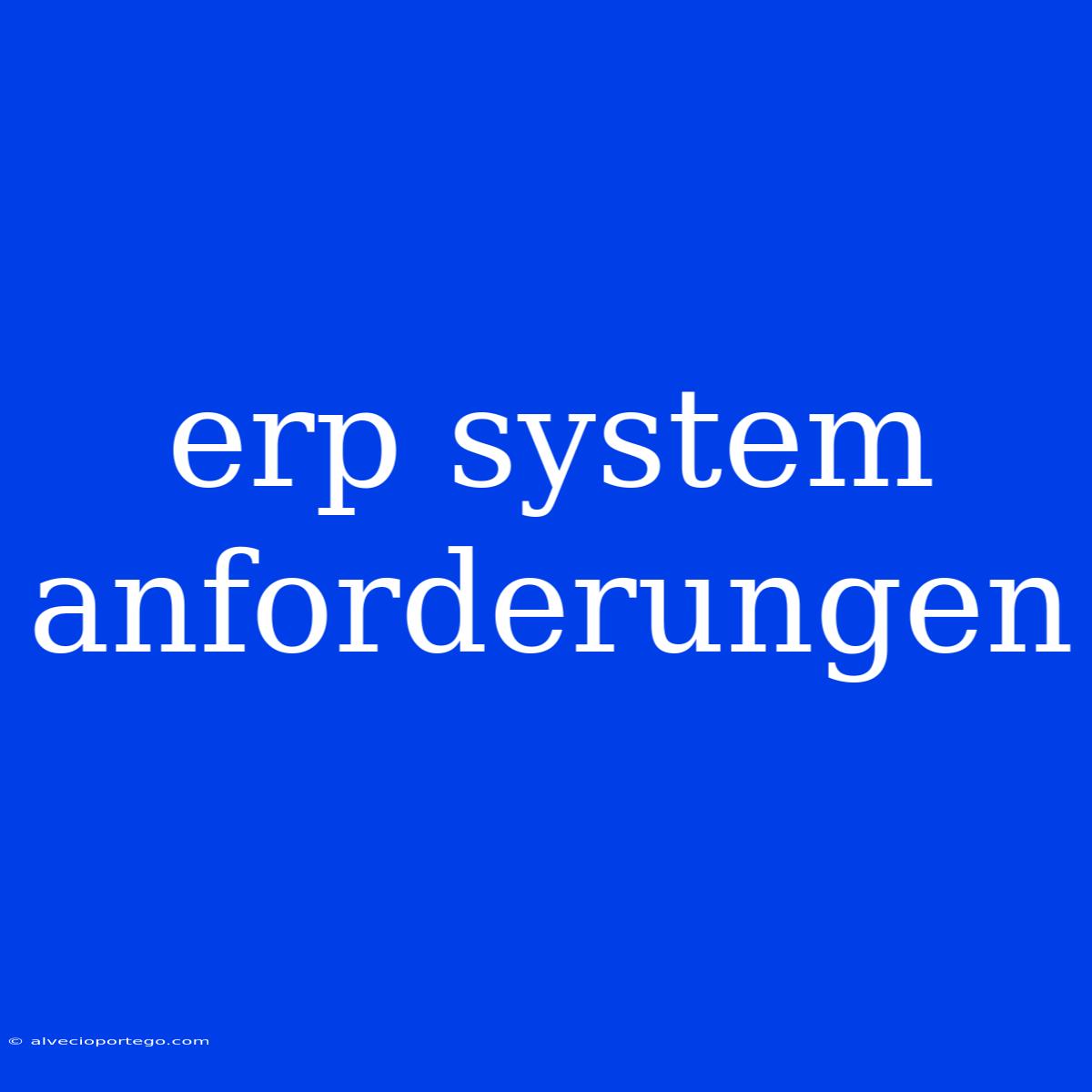 Erp System Anforderungen