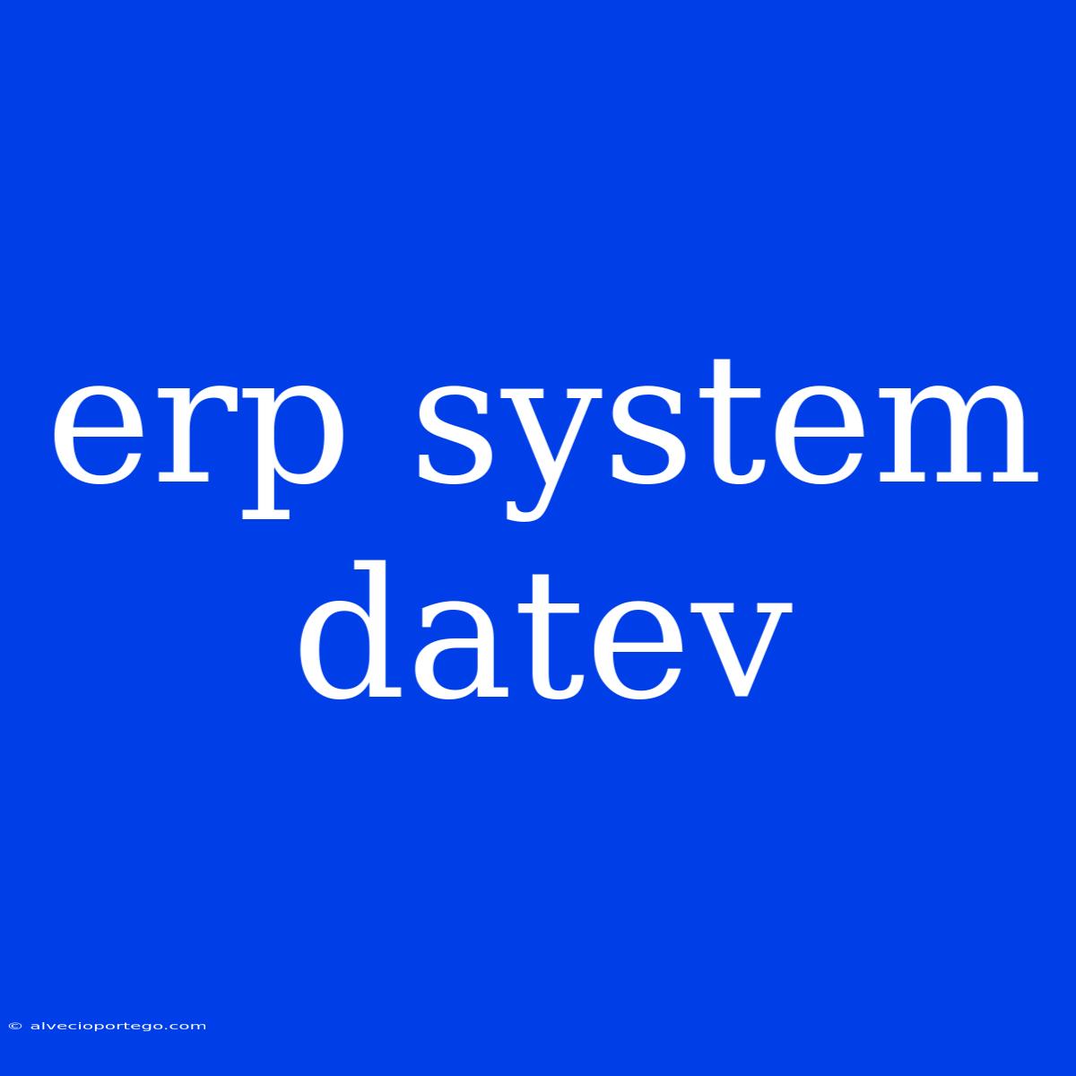 Erp System Datev