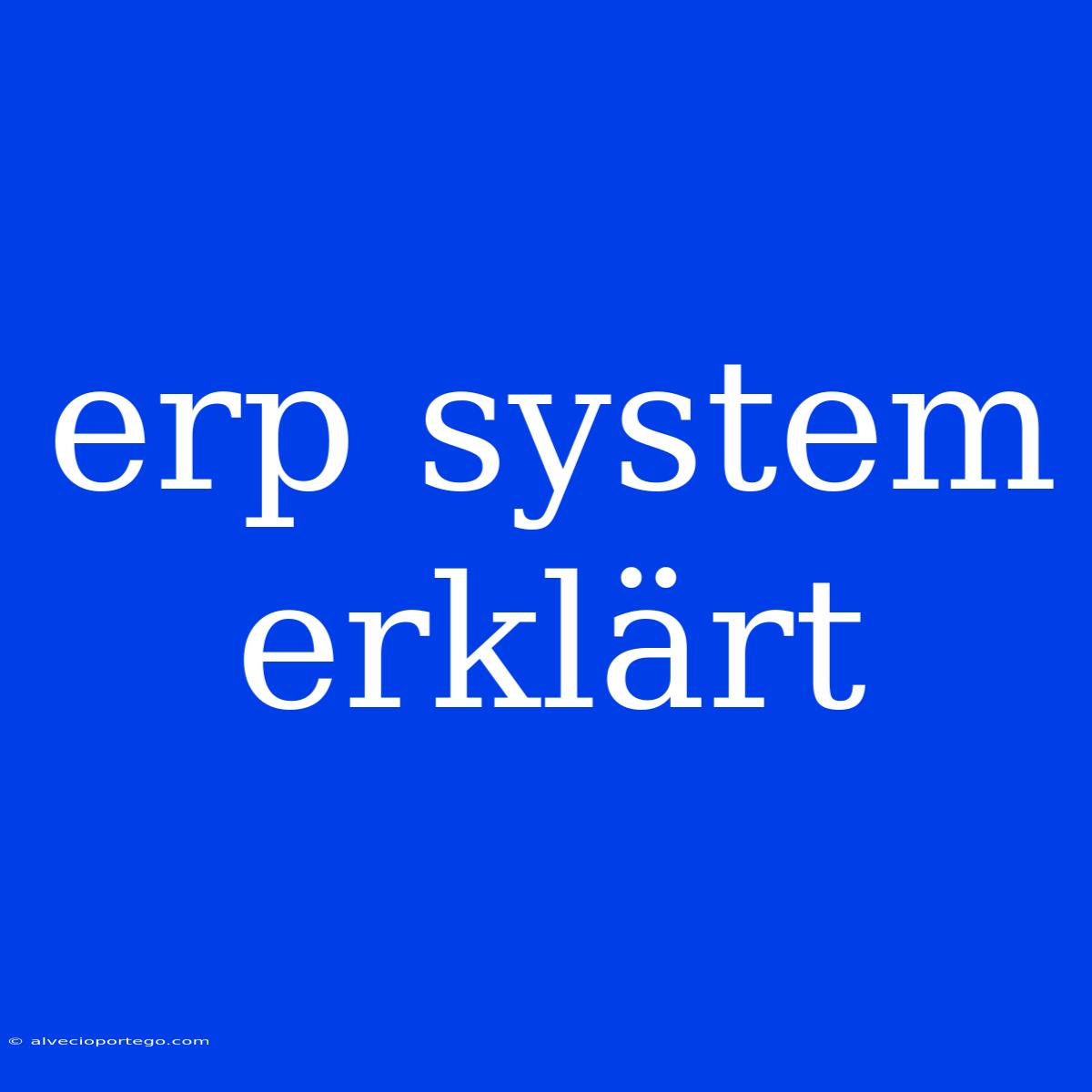 Erp System Erklärt