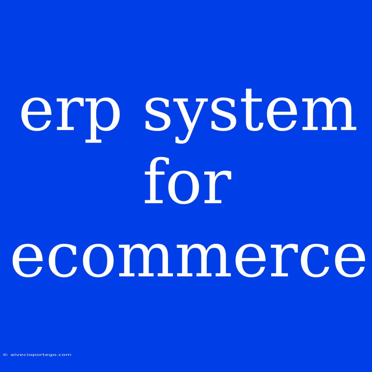 Erp System For Ecommerce