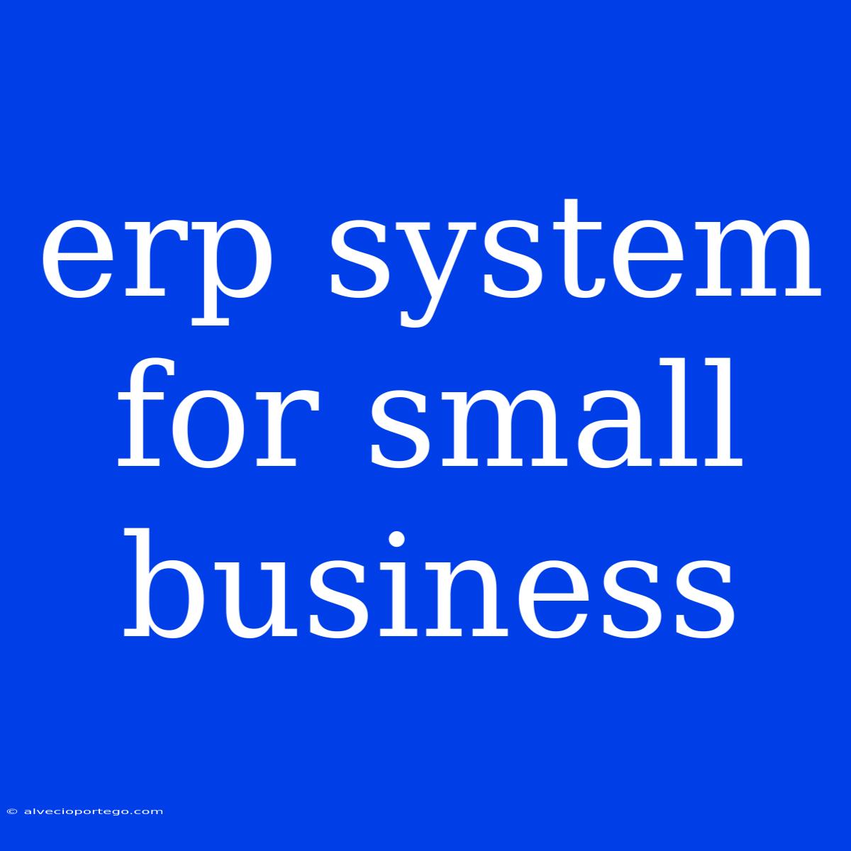 Erp System For Small Business