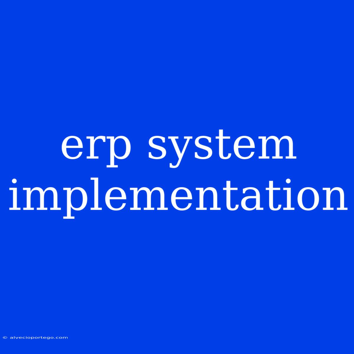 Erp System Implementation