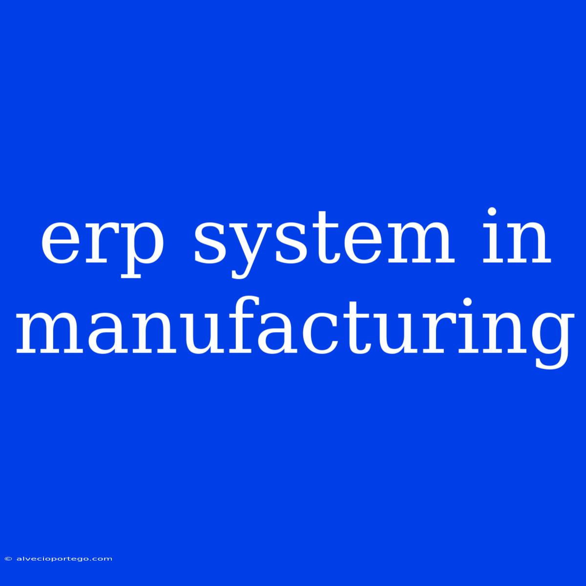 Erp System In Manufacturing