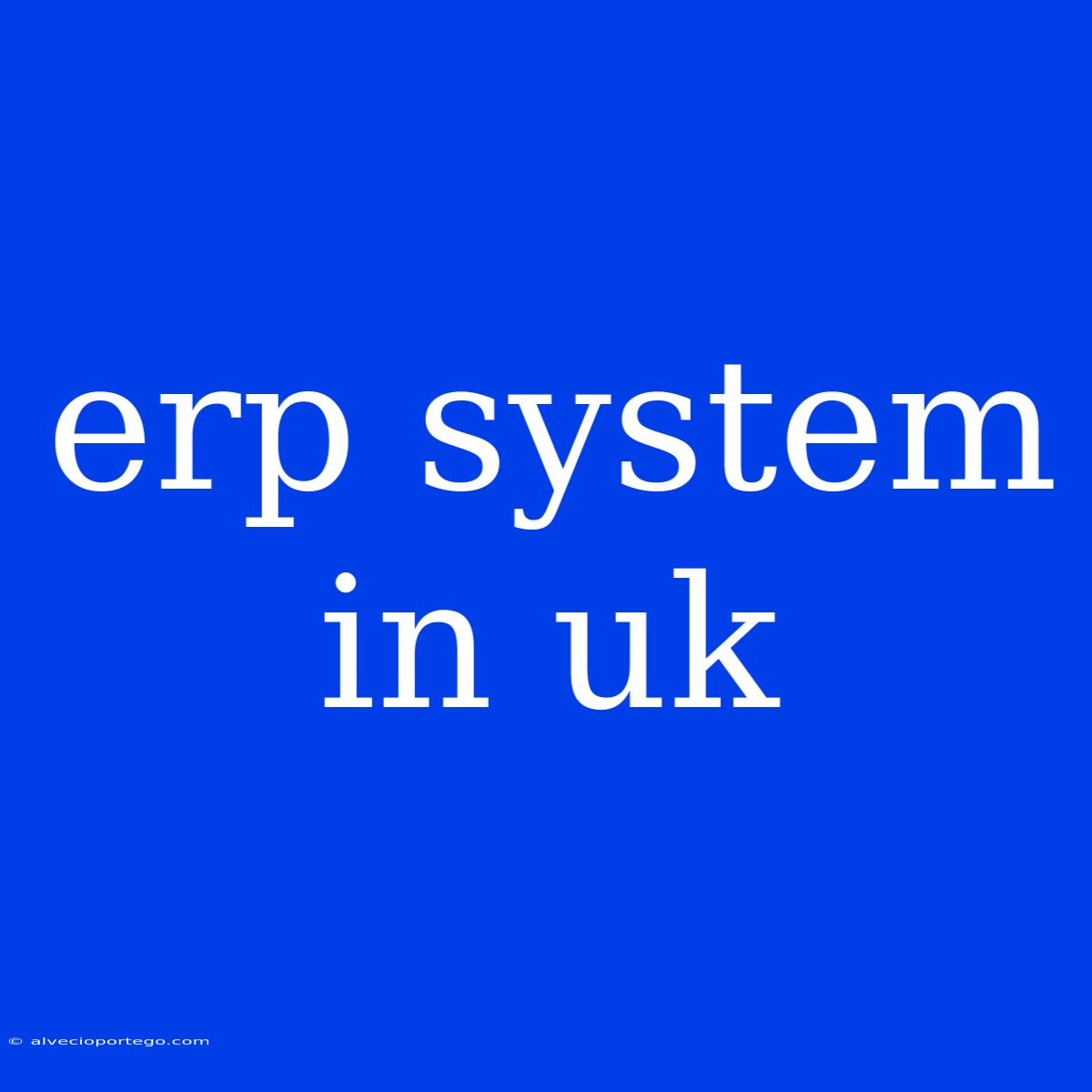 Erp System In Uk