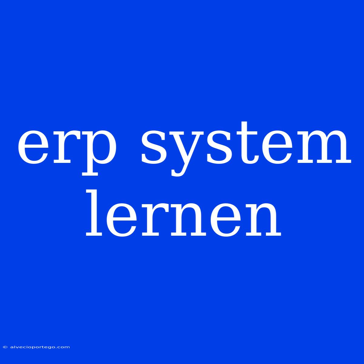 Erp System Lernen