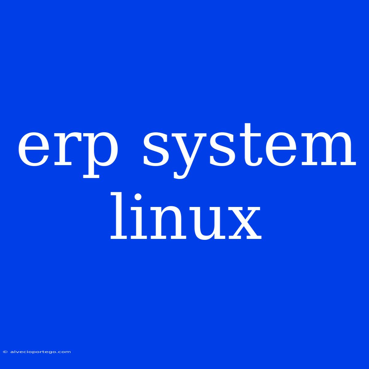 Erp System Linux