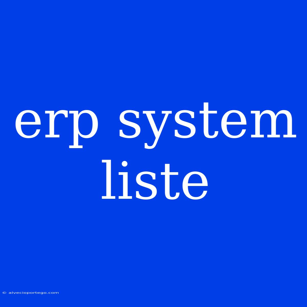 Erp System Liste