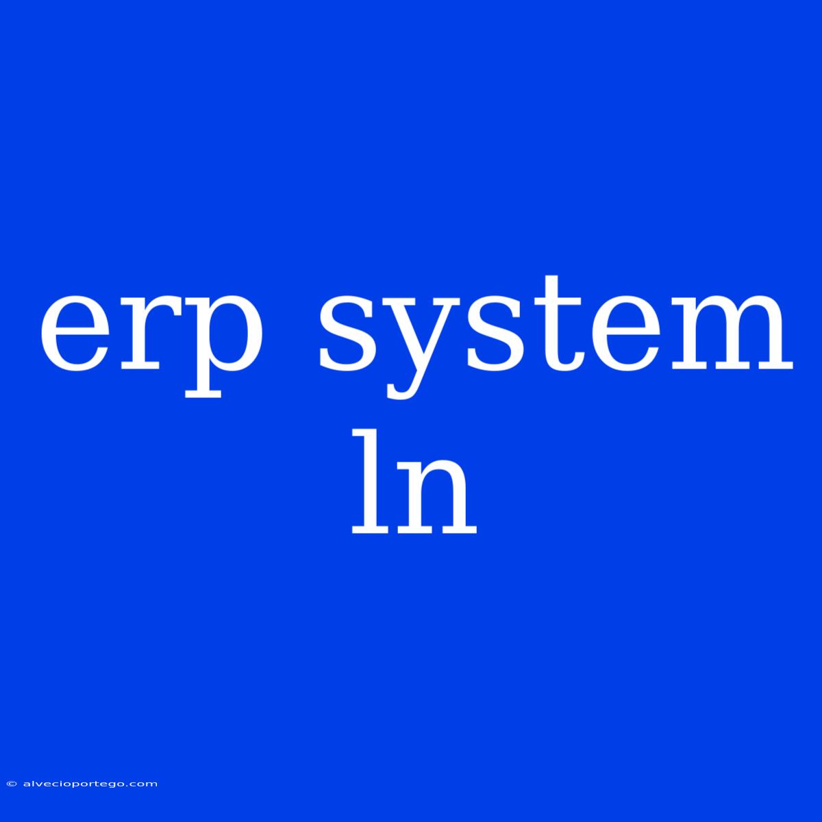 Erp System Ln