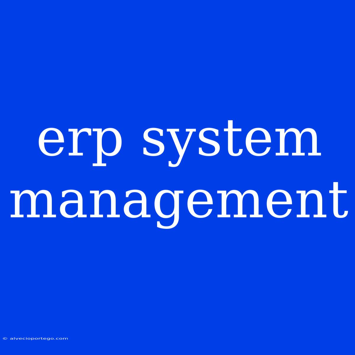 Erp System Management