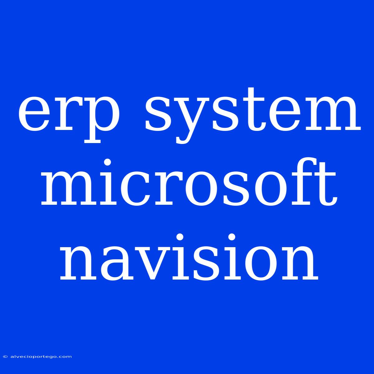 Erp System Microsoft Navision