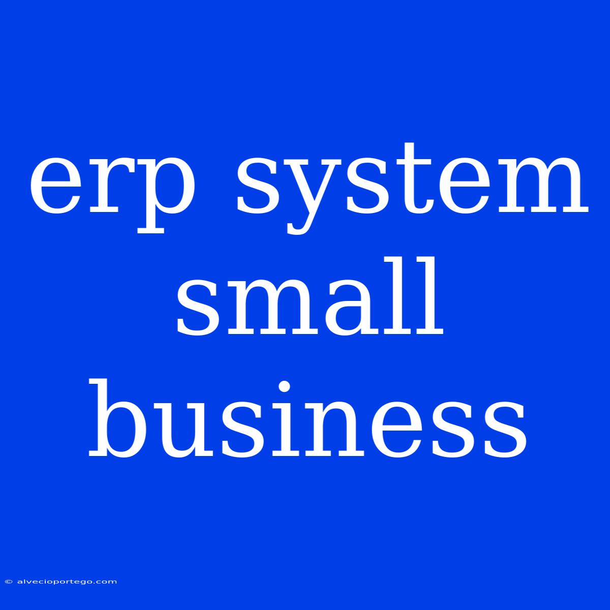 Erp System Small Business