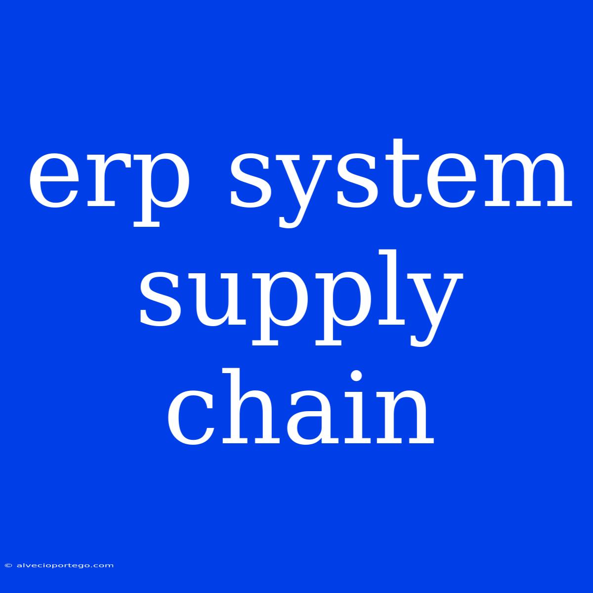 Erp System Supply Chain