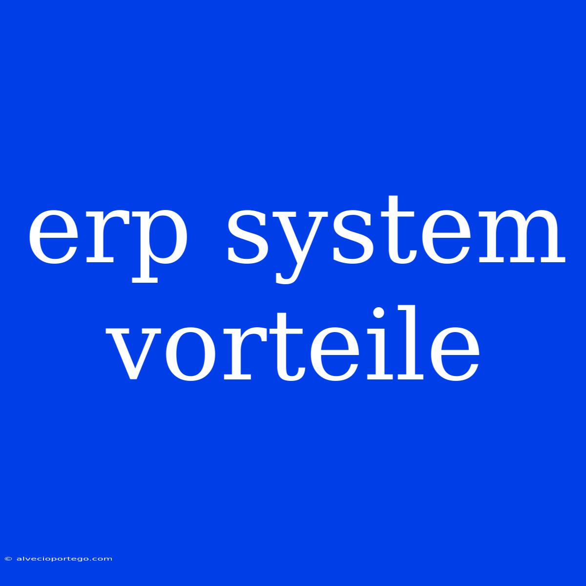 Erp System Vorteile