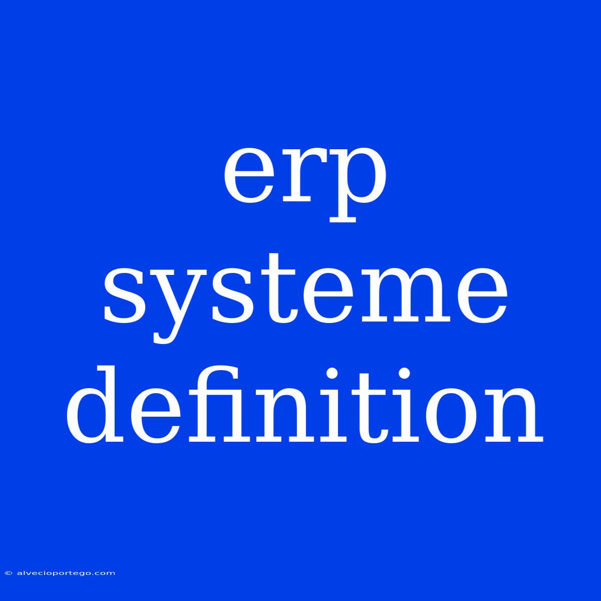 Erp Systeme Definition