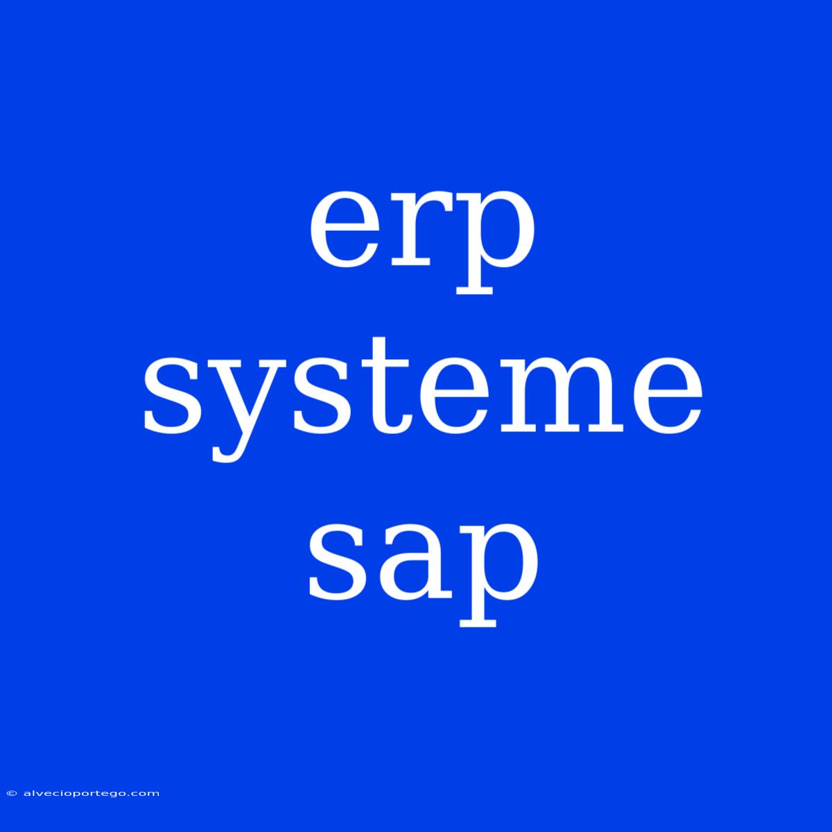 Erp Systeme Sap