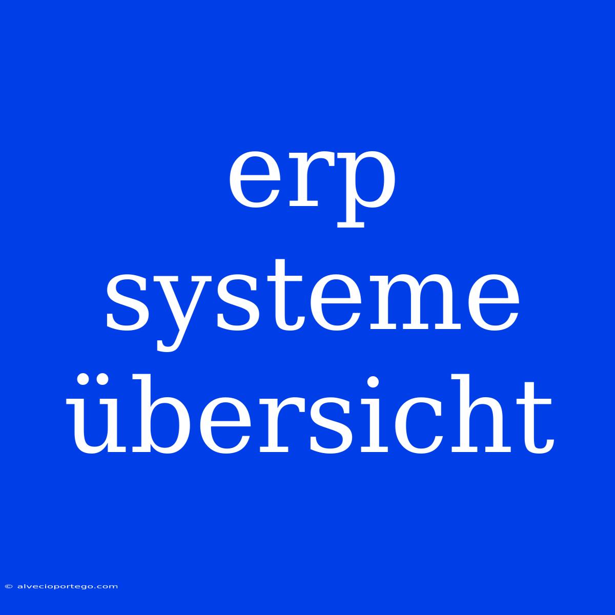 Erp Systeme Übersicht