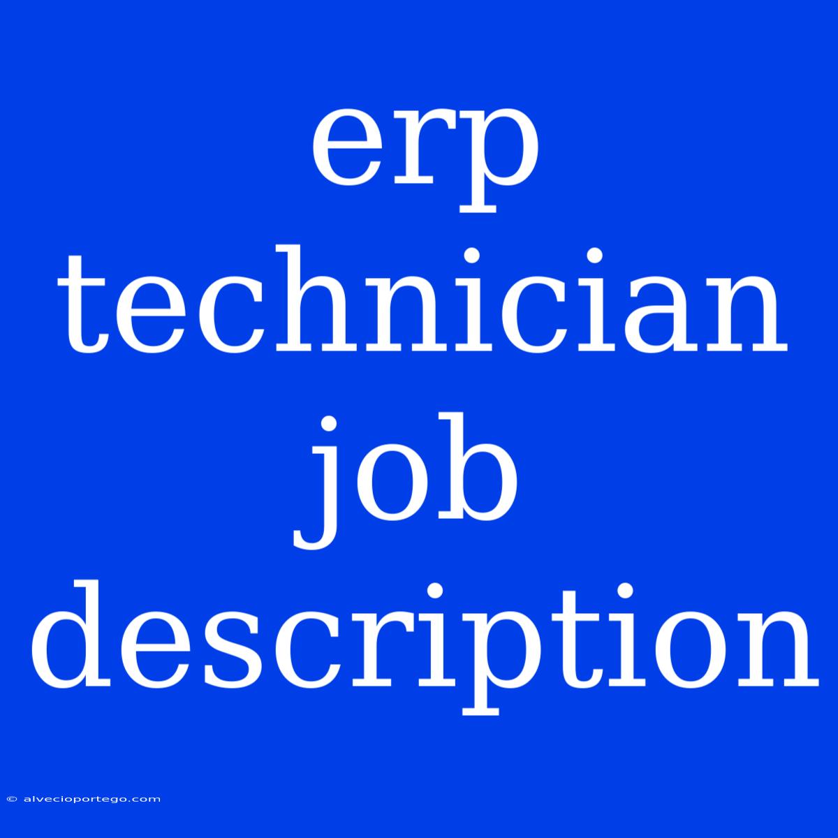 Erp Technician Job Description