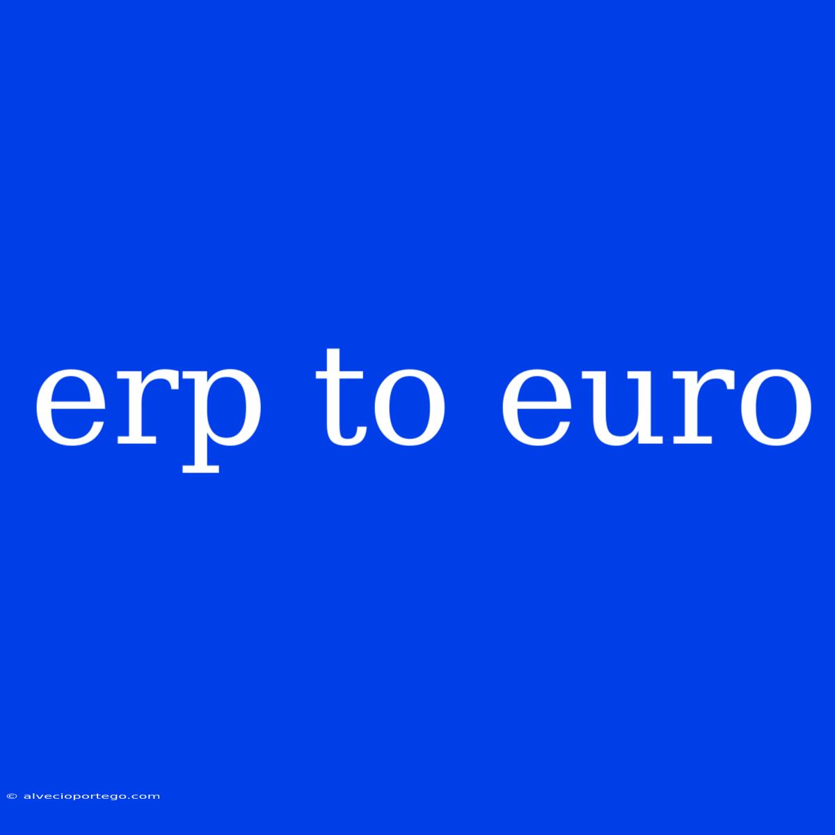 Erp To Euro