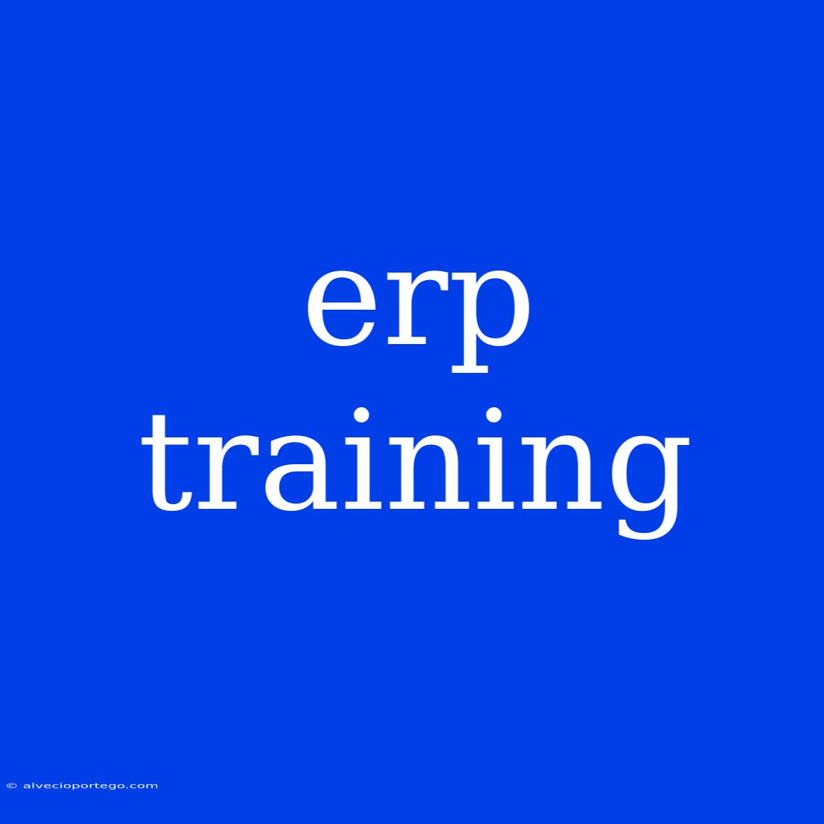 Erp Training