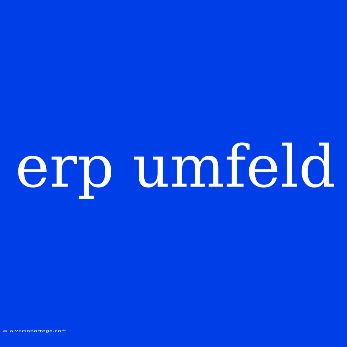 Erp Umfeld