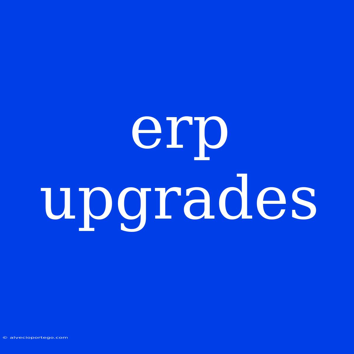 Erp Upgrades