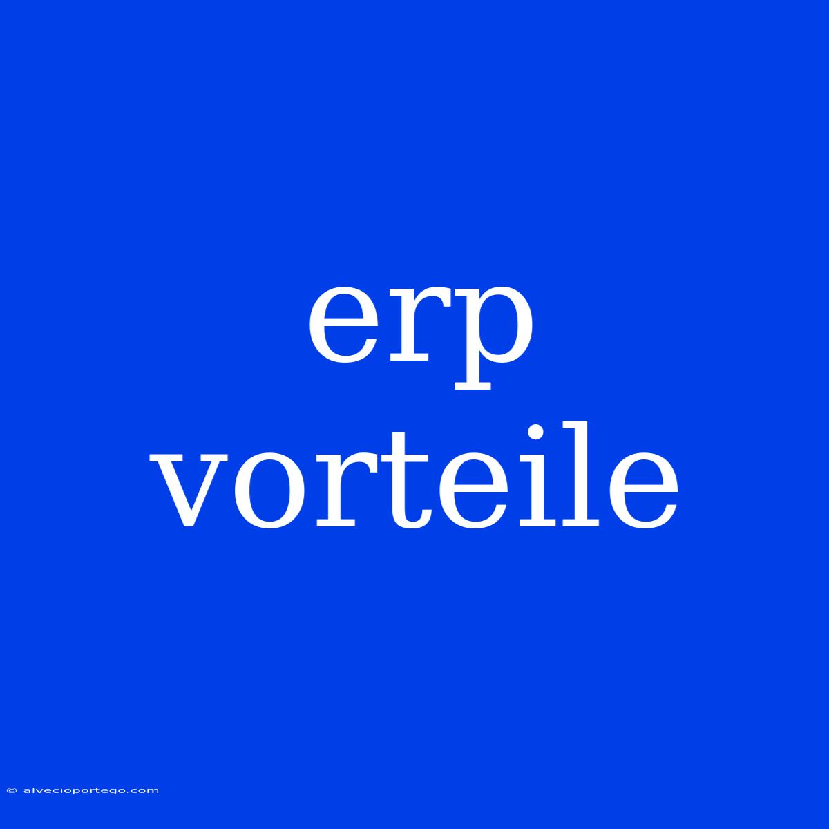 Erp Vorteile