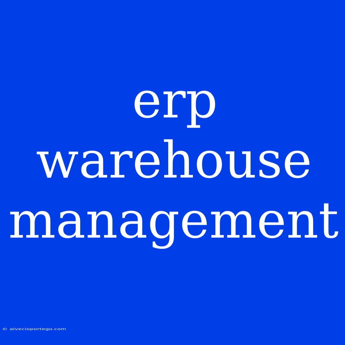 Erp Warehouse Management