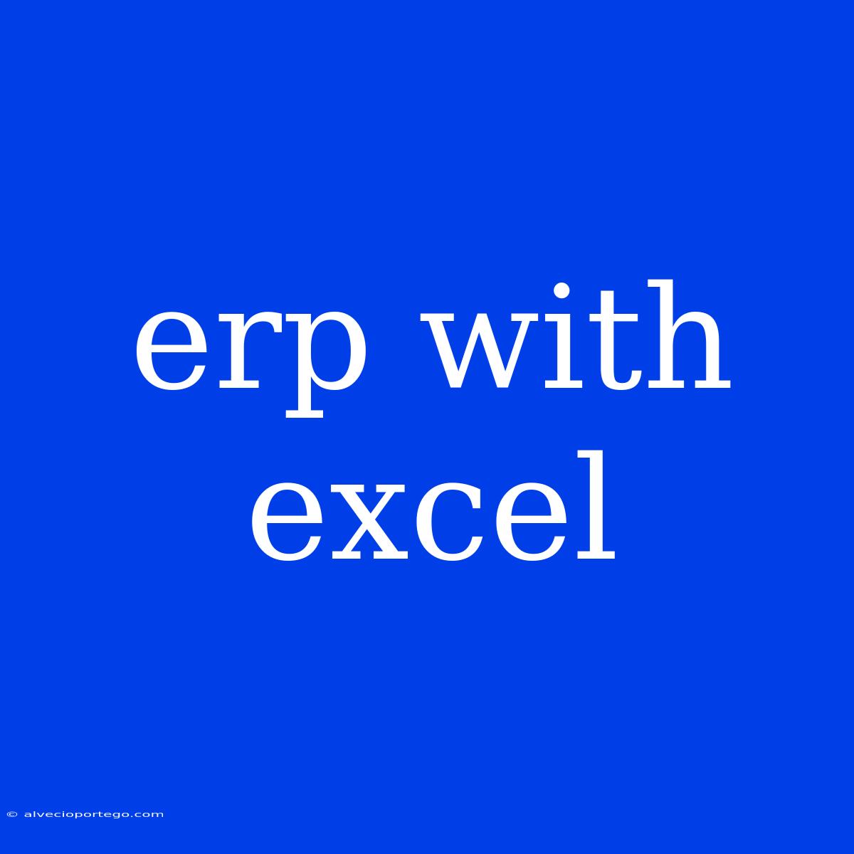 Erp With Excel