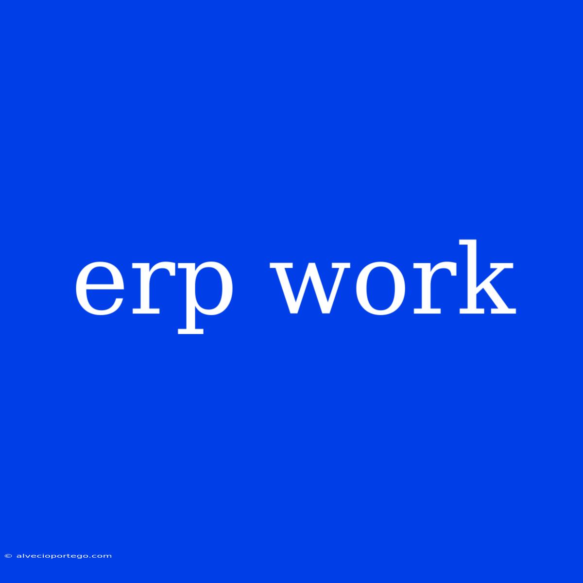 Erp Work