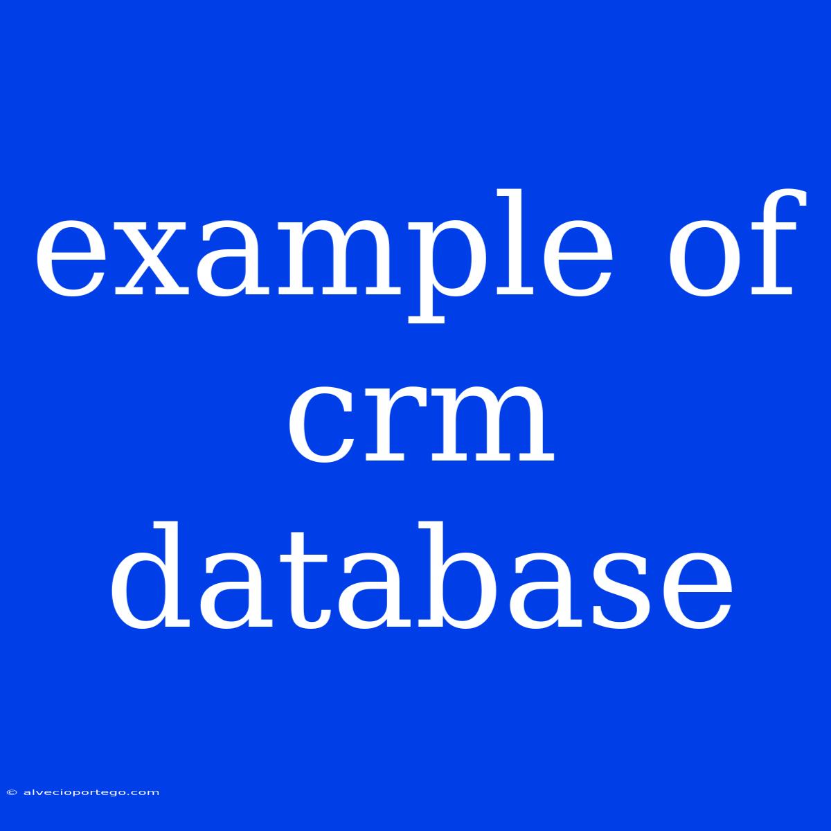 Example Of Crm Database