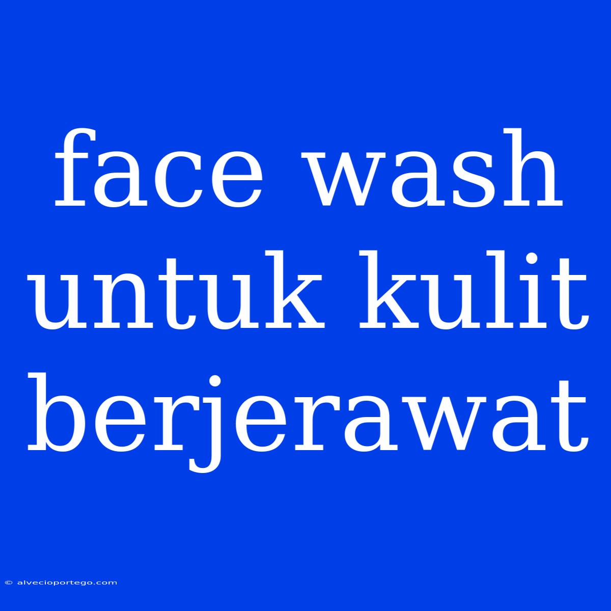 Face Wash Untuk Kulit Berjerawat