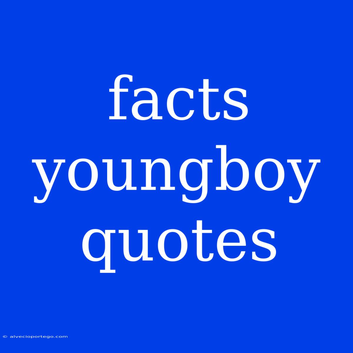 Facts Youngboy Quotes