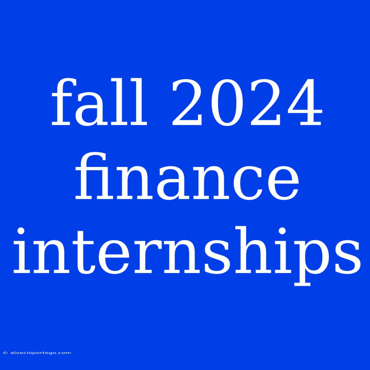 Fall 2024 Finance Internships