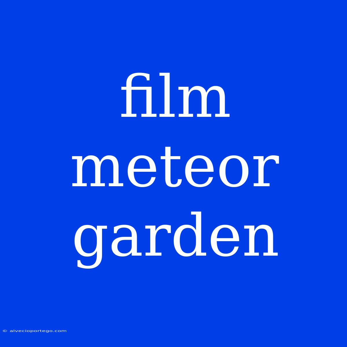 Film Meteor Garden