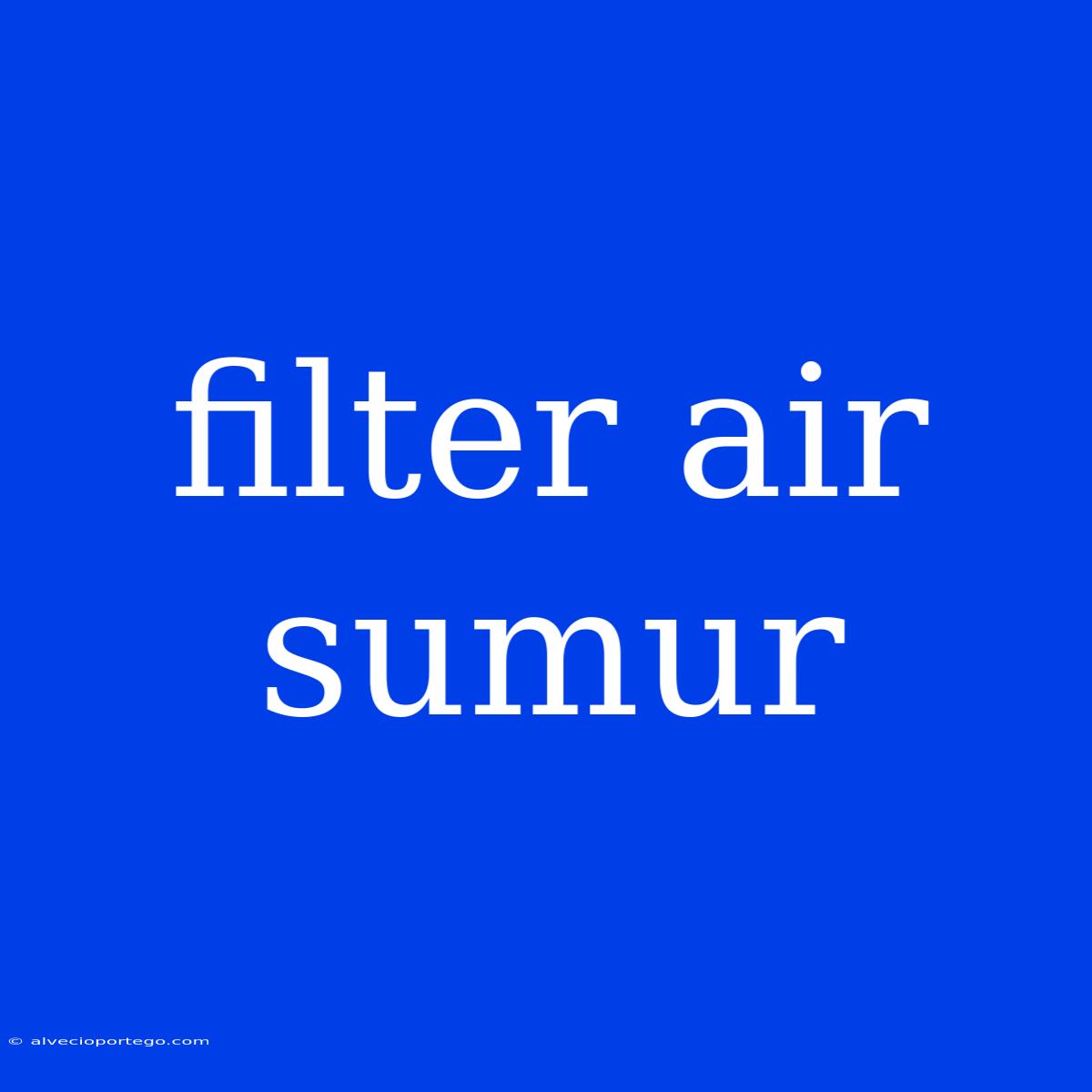 Filter Air Sumur