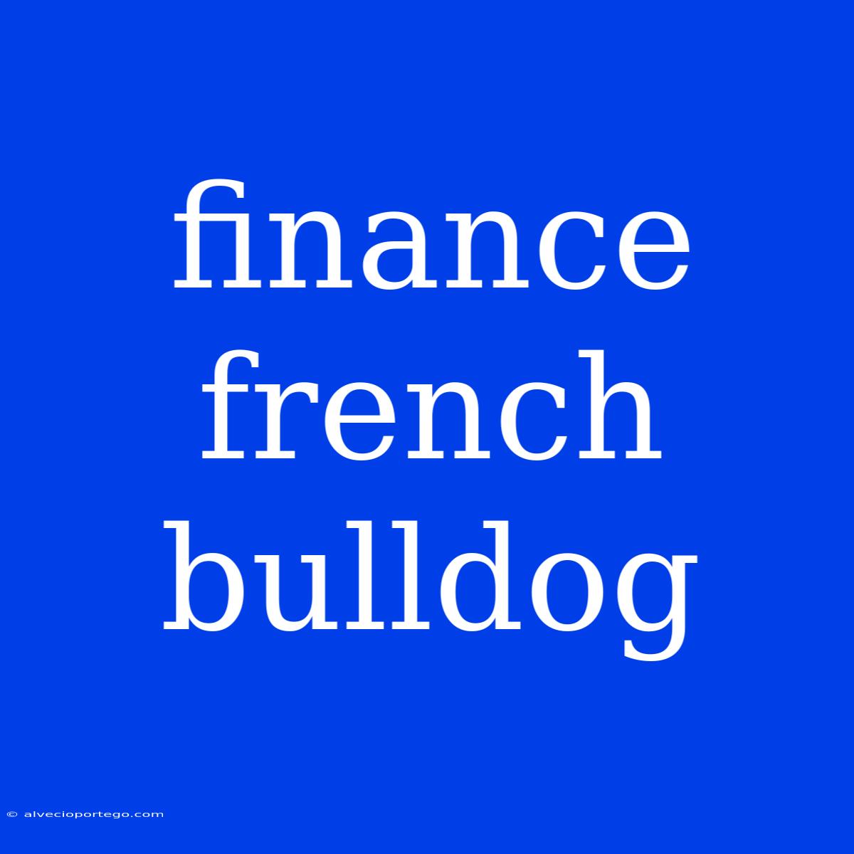 Finance French Bulldog