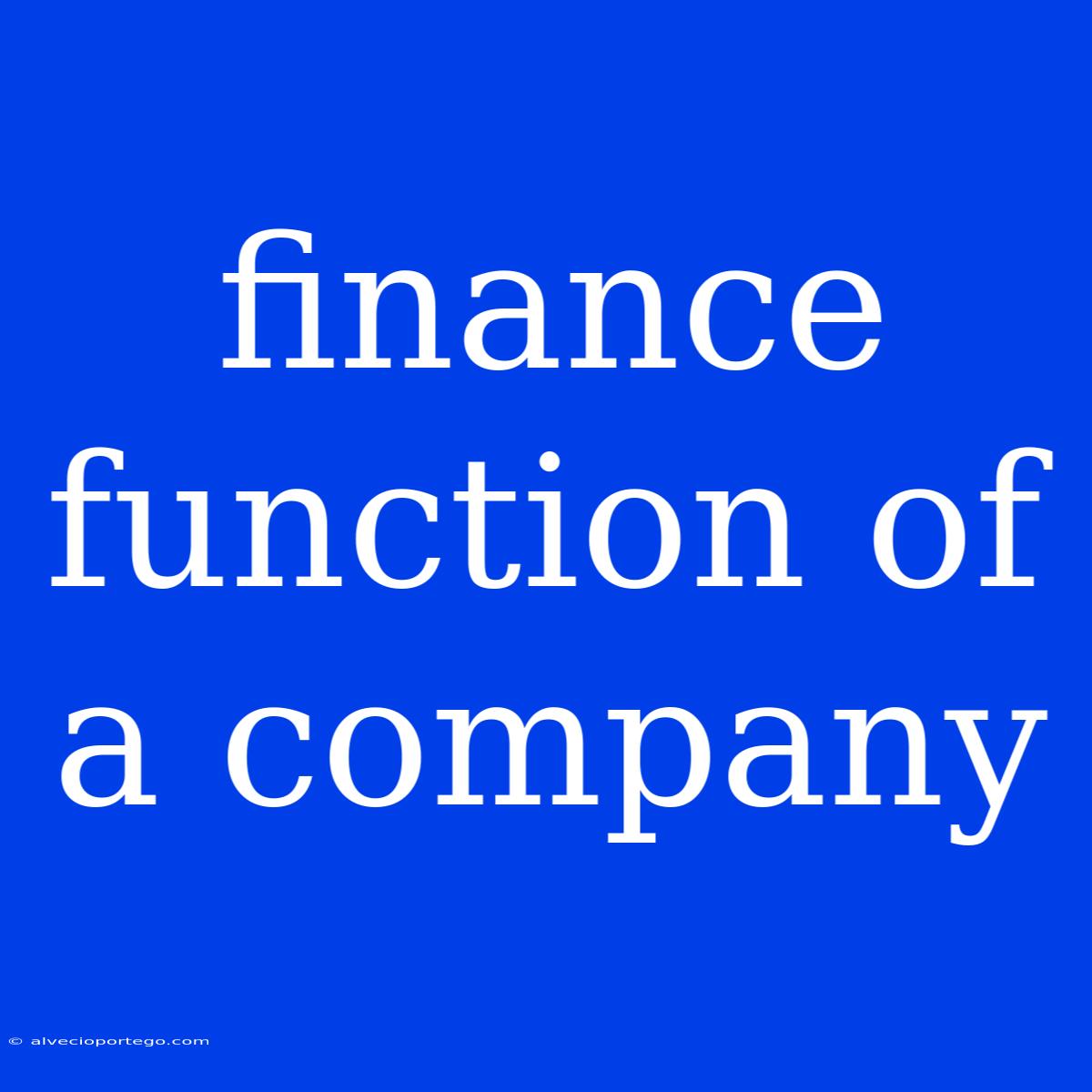 Finance Function Of A Company