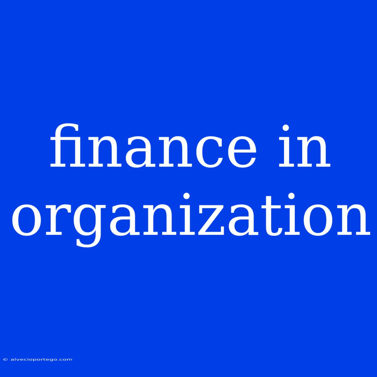 Finance In Organization