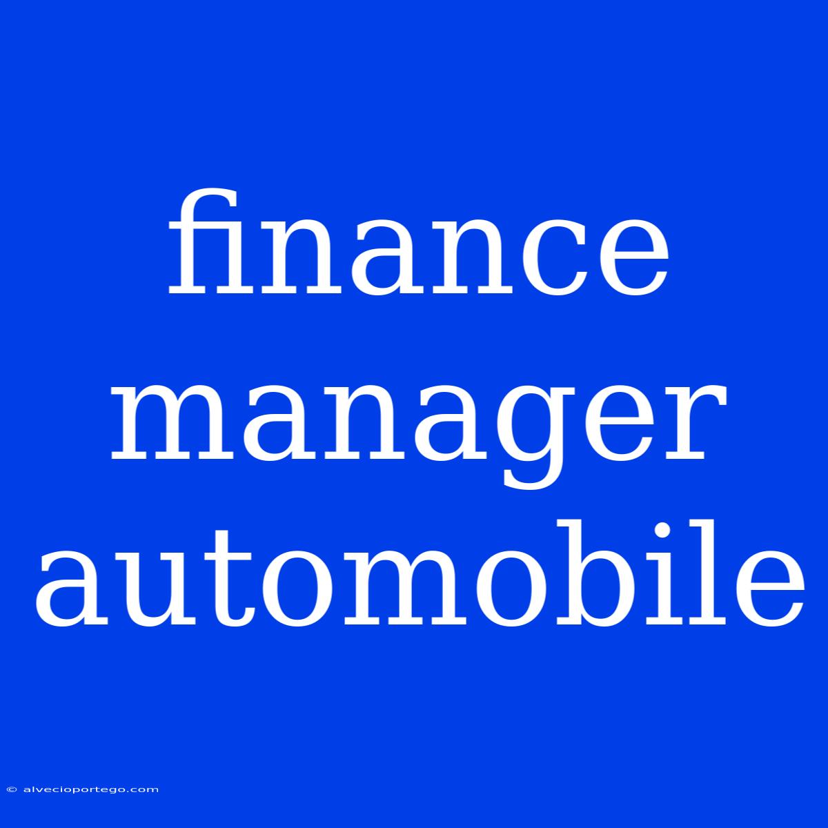 Finance Manager Automobile