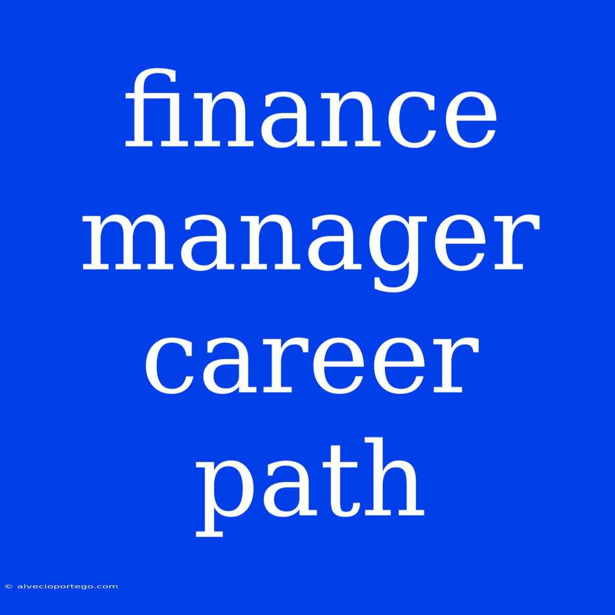 Finance Manager Career Path