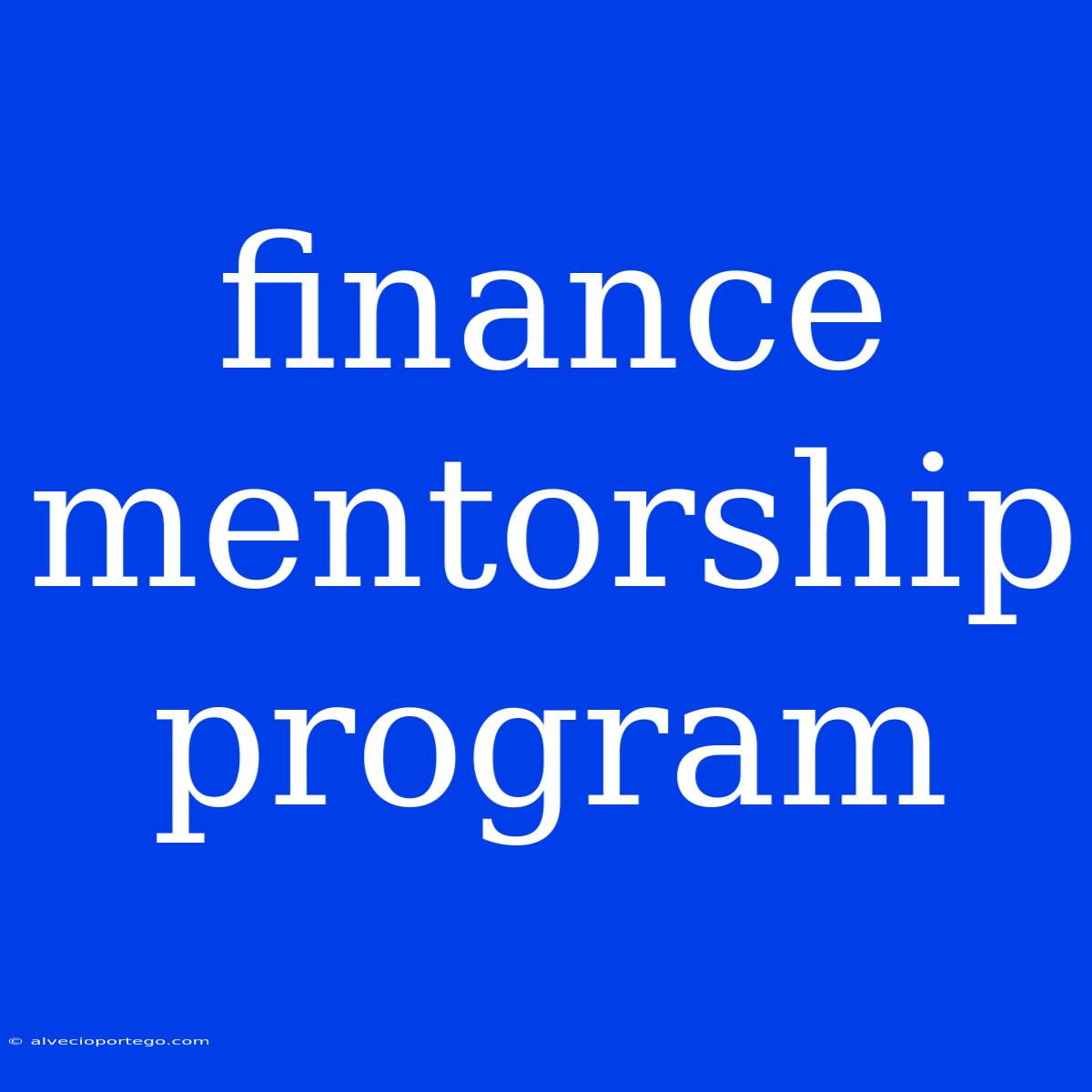 Finance Mentorship Program