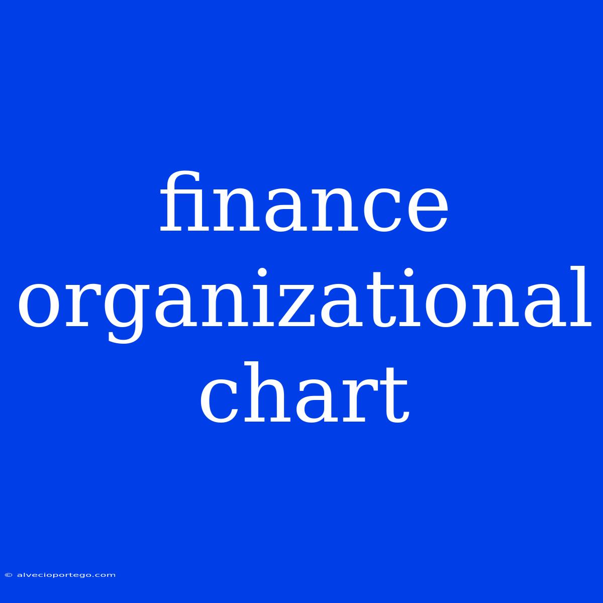 Finance Organizational Chart