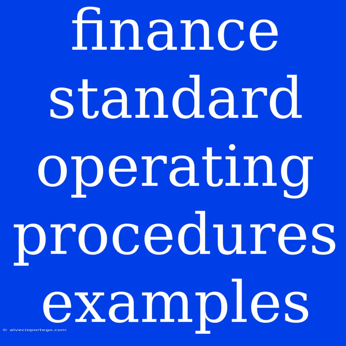 Finance Standard Operating Procedures Examples