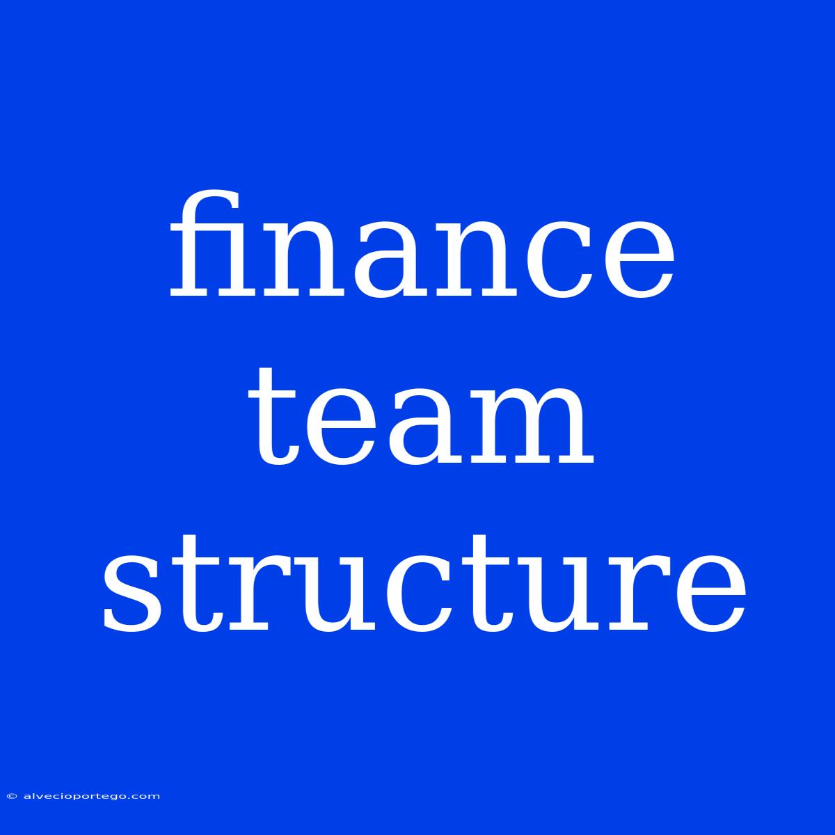 Finance Team Structure