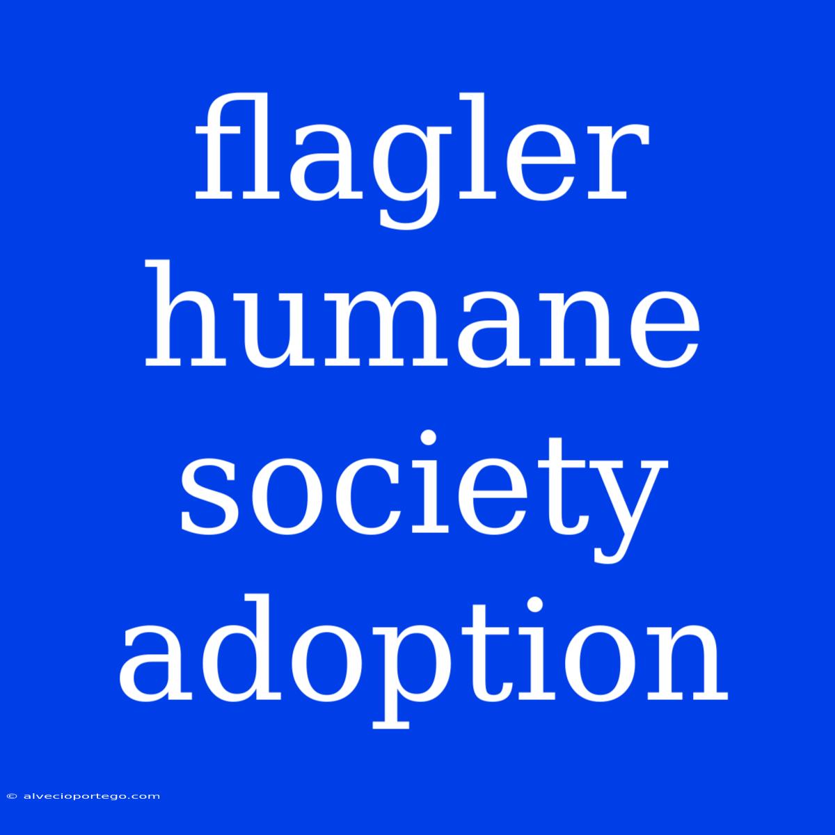 Flagler Humane Society Adoption