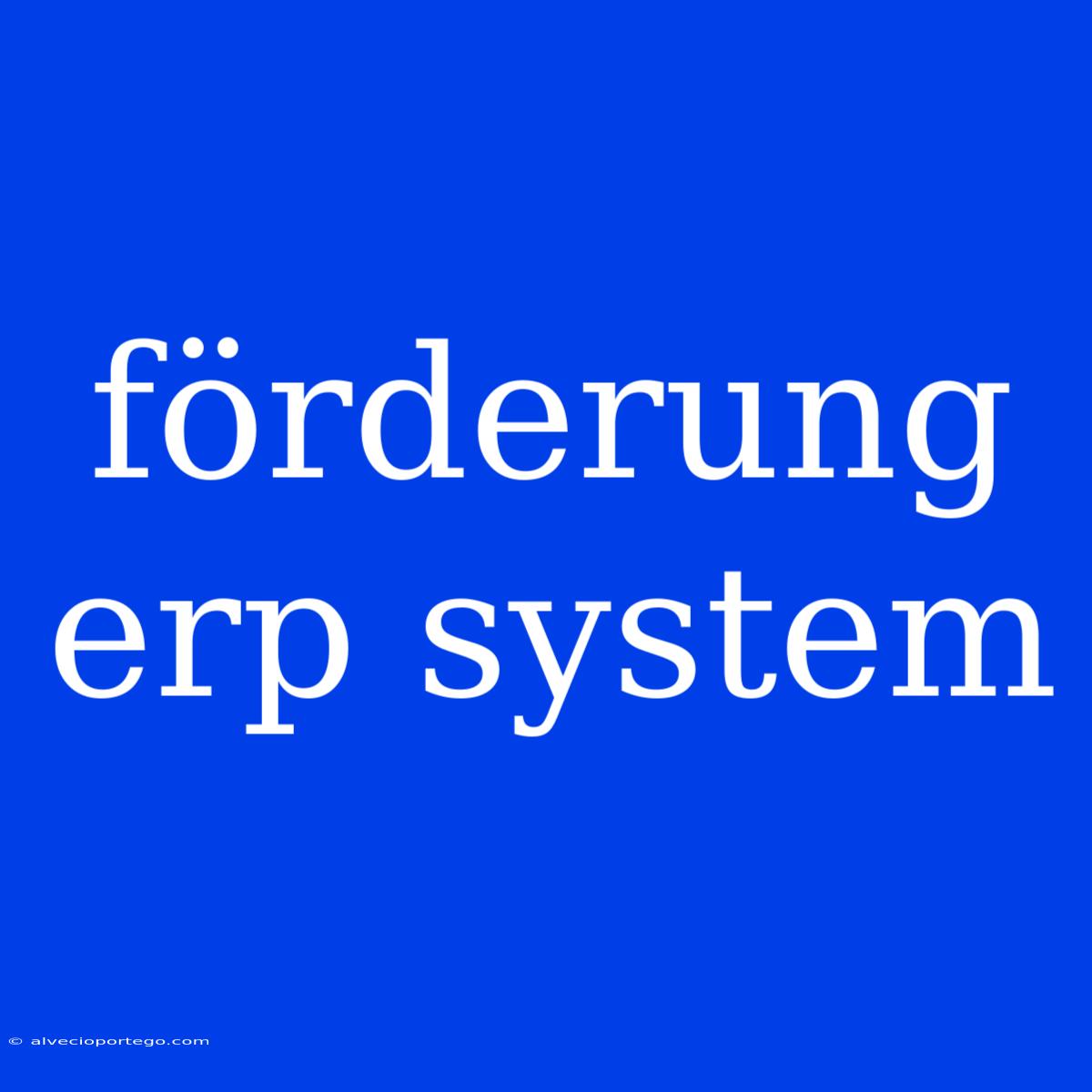 Förderung Erp System