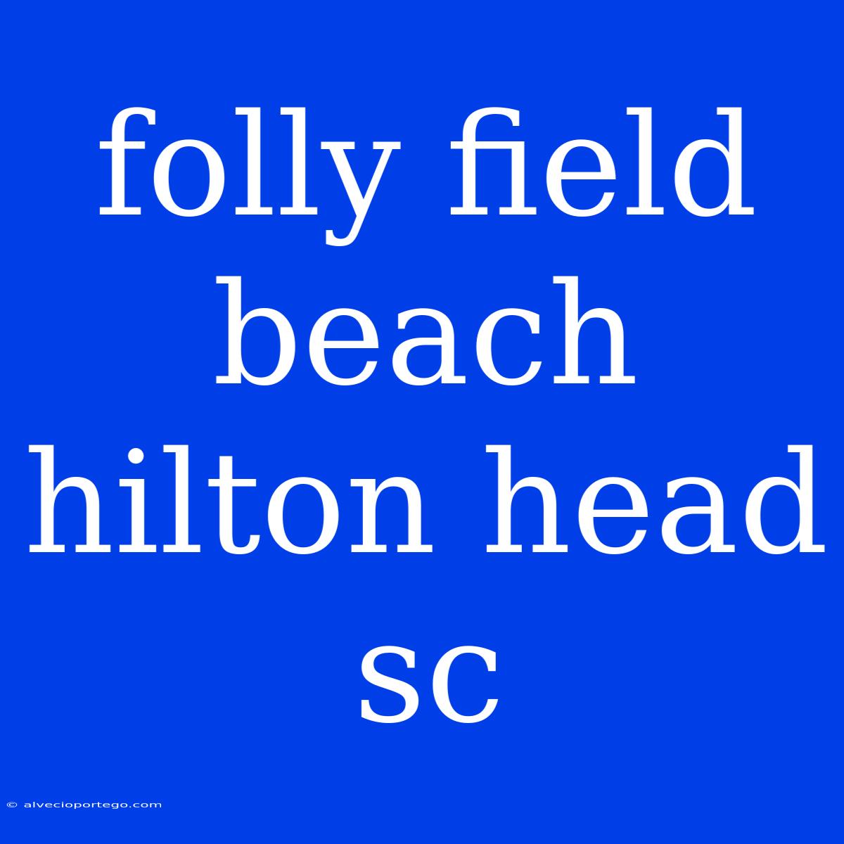 Folly Field Beach Hilton Head Sc